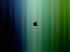 apple_273.jpg